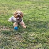 Bruce avatar