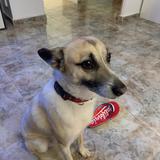 Rudy avatar