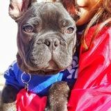 Paco avatar