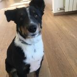 Ella avatar