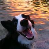 Uma avatar
