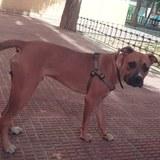 Cuatro avatar