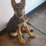 Mika avatar