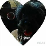 Blacky avatar