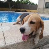 Fermin avatar