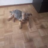 teddy avatar