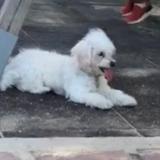 Lana avatar