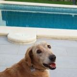 Canela avatar