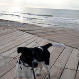 Vilma avatar