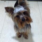 Jasper avatar