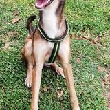 Bruce avatar