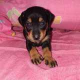 Danna avatar