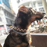 Bimba avatar