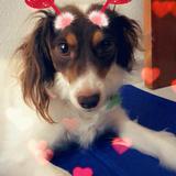 Lilo avatar