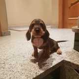Zoé avatar