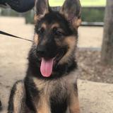 Chloe  avatar