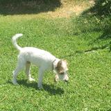 Lolo avatar