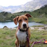 Hera  avatar
