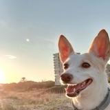 Mila avatar