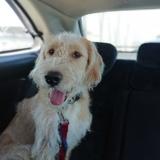 LUSCO  avatar