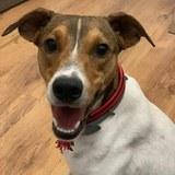 Kika avatar