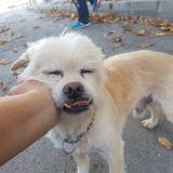 Cuki avatar