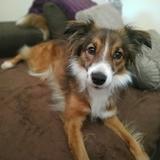 Suki avatar