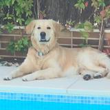 Ares avatar