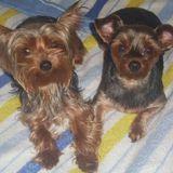 Kira y Noa avatar