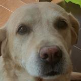 Milka avatar