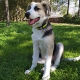 Aika avatar
