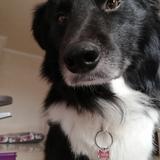 Jasper  avatar