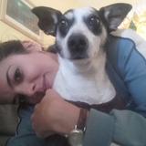 Puntillita avatar