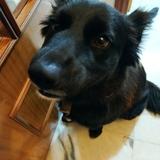 Mia avatar