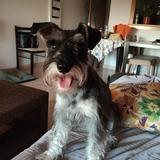 Waldo avatar
