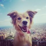 Kora avatar