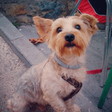 Edward avatar
