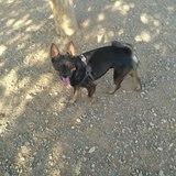 Kenay avatar