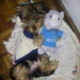 breya avatar