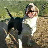 MOUYO avatar