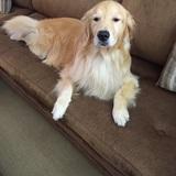 Phoebe  avatar
