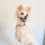 Lily avatar