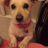 Sophie avatar