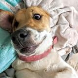 Lola avatar