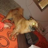 Luky avatar