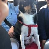 Nina  avatar