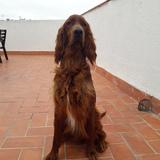 Jacky  avatar