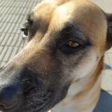 Yuma avatar