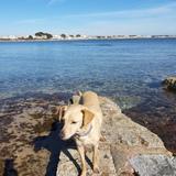 NAla avatar