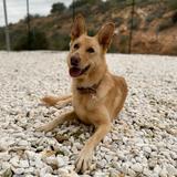 Mia avatar